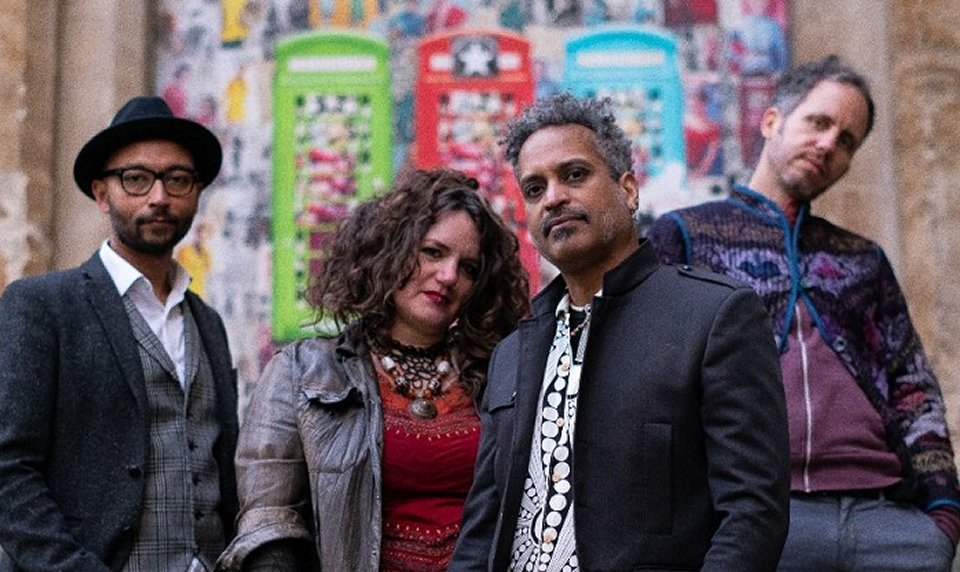Stunflower Band Croydon